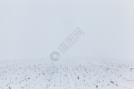 场景在大雪降后飘冬季天有一张照片冬天的雪漂流分支霜图片