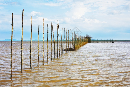 地平线照片户外泰国低潮时的渔网捞泰国图片