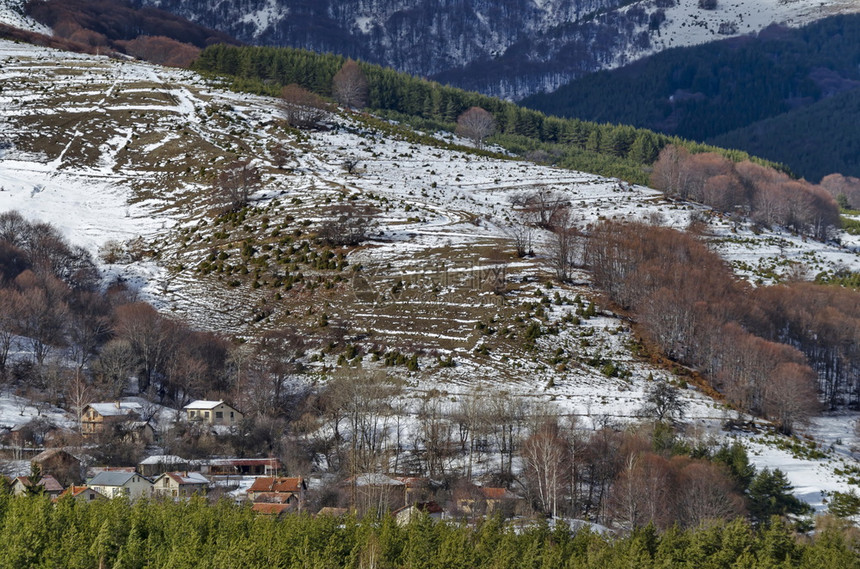 景观旅游天空云冬季山雪地住宅区从Plana山到Vitossha山的松木林和衰落森保加利亚欧洲图片