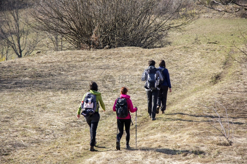 步行臭鼬山在森林中带着背包走的偷猎者图片