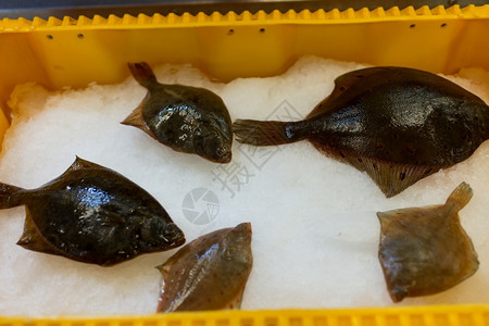 比目鱼生美味的数条在黄鱼箱中的冰上平面鱼红色的高清图片素材