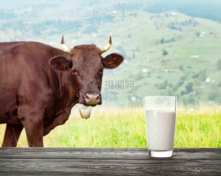 奶的杯子牛背景和山地牧场的铃声自然食物的概念奶杯子和山地牧场的铃声注饮料优质的有机图片