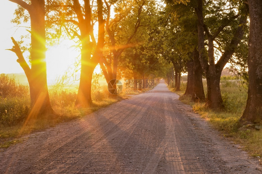 秋天生动晚上路边小巷和日落夕阳下的乡间小路夕阳下的乡间小路边巷和日落图片