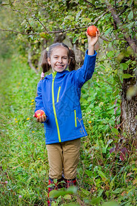 果园采摘苹果的女孩图片
