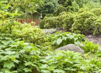亚洲人文化夏季花园的卉树在园的日本传统茶叶屋风景图片