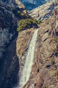 景观美国加利福尼亚州约塞米特公园岩石森林图片