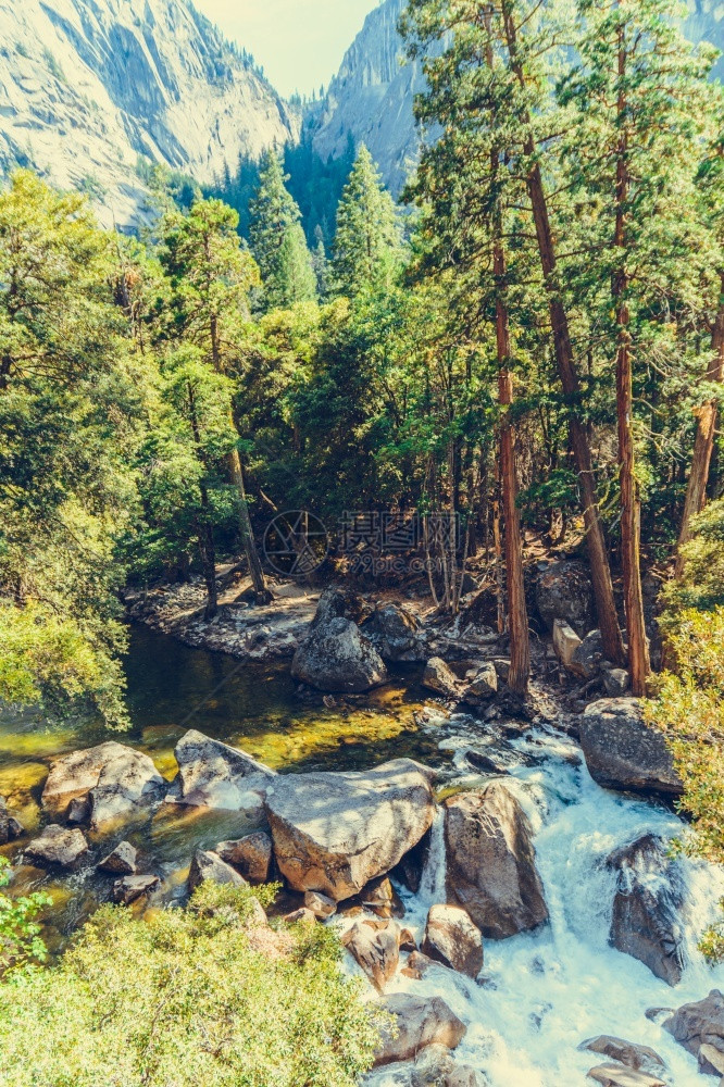 绿色美国加利福尼亚州约塞米特公园自然旅游图片
