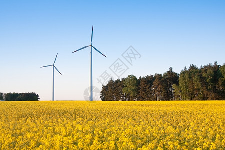 刀风力涡轮机网络春时场的风车农图片