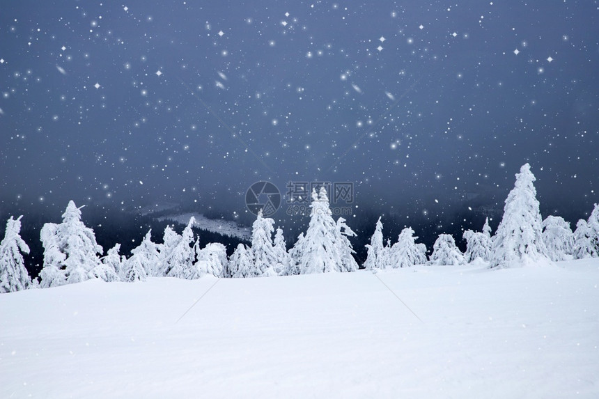颜色冬季风景有雪卷毛树山阳光图片