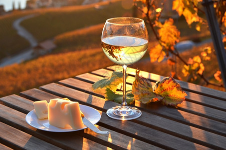 瑞士日内瓦湖的葡萄酒和奶酪对抗瑞士日内瓦湖葡萄栽培文化村庄图片