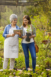工作职业自然美成熟的花店商帮助女顾客选择植物园艺高清图片素材