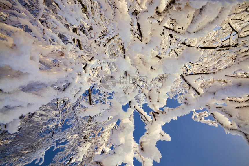 在暴风雪和瀑布被白寒覆盖期间或之后在蓝天冬季冻雪和寒冷天气下满是白寒雪的冰和霜季节或者木头图片