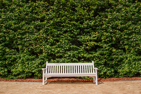 孤独的白色木制公园长椅绿叶背景公园观孤独的白色木制公园长椅绿叶背景车道椅子美丽的景观高清图片素材