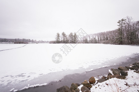 荒野冬天冷冻的森林湖景色很美宁静户外农村高清图片素材