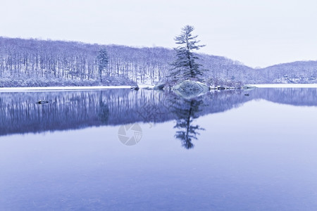 水安静的冬天冷冻森林湖景色很美荒野冰高清图片素材