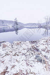 明亮的冬天冷冻森林湖景色很美气候环境冷若冰霜高清图片素材