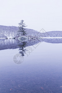 冬天冷冻的森林湖景色很美树木降雪风景优美高清图片素材