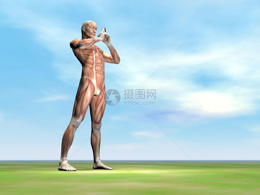 一位和平的男站在绿草上美丽的一天和平男肌肉3D制成健康身体肌肉组织图片
