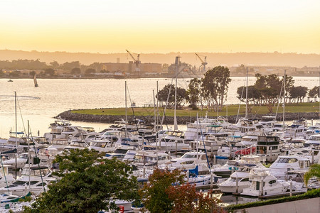 摩天大楼游艇港口美国加利福尼亚州圣地哥的Marina湾日落图片