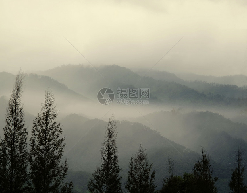 山地脉和松树冬日有晨雾旅行天气图片