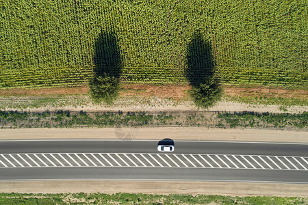拉普捷夫种植园空中无人驾驶飞机对穿越绿地的高速公路观察夏天图片