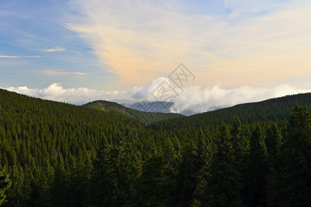 云旅游山上森林和天空的美丽风景耶塞尼基周围的纯自然捷克欧洲季节耶塞尼克高清图片素材