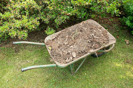 花园艺工具上填满土壤或堆肥的轮轴户外园丁料图片