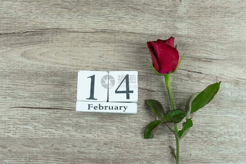 2月14日日历和红色玫瑰花图片