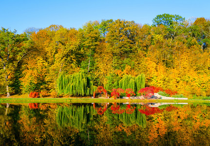 明亮地季节木头秋天下午有湖景的秋季风图片