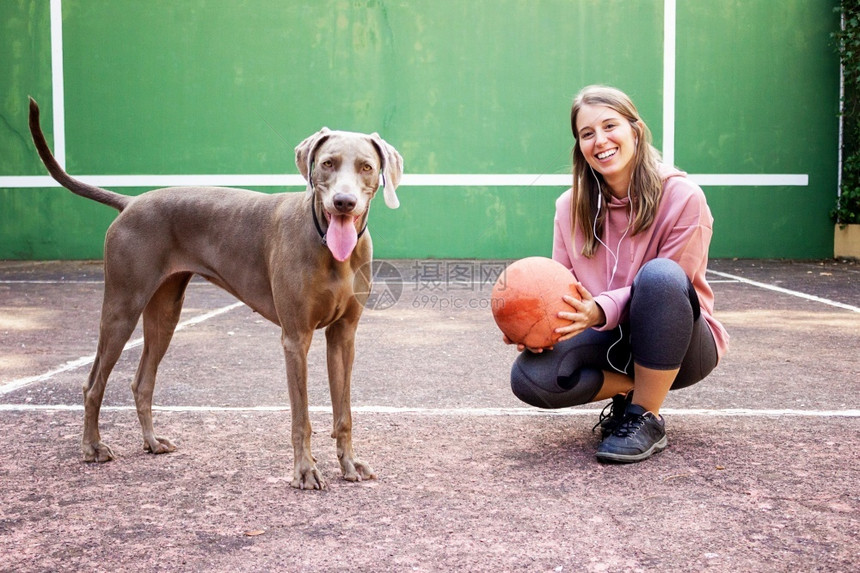 青少年锻炼漂亮的轻女子拿着球与她的狗装扮图片