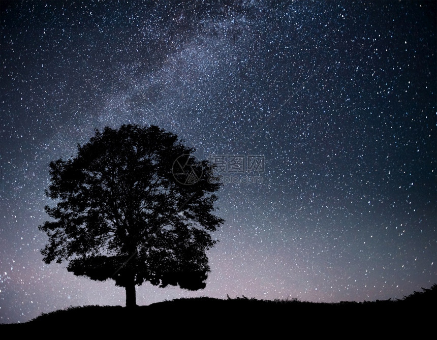 辉光叶子乳白色夜空星与山上树的剪影银河与孤独的树流星宇宙景观与夜晚的星空和山上树剪影图片