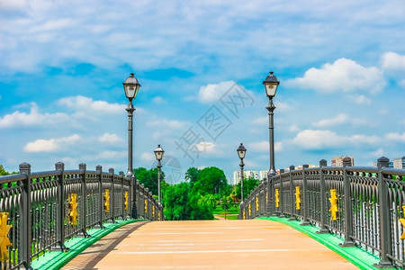 建筑学自然俄罗斯莫科欧洲沙里察诺公园桥梁历史高清图片