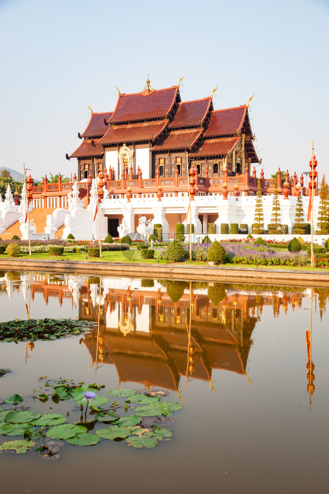 艺术池塘美丽的泰国清迈皇家花劳拉特恰普赫鲁克公园图片
