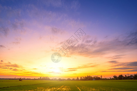 蓝色的日落戏剧天空纹理背景大气层阳光云背景图片