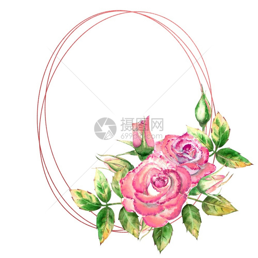 花束绿化横幅几何框架饰有花朵粉红玫瑰绿叶开合花精美水彩插图几何框架饰有花朵粉红玫瑰开合花精致水彩插图图片