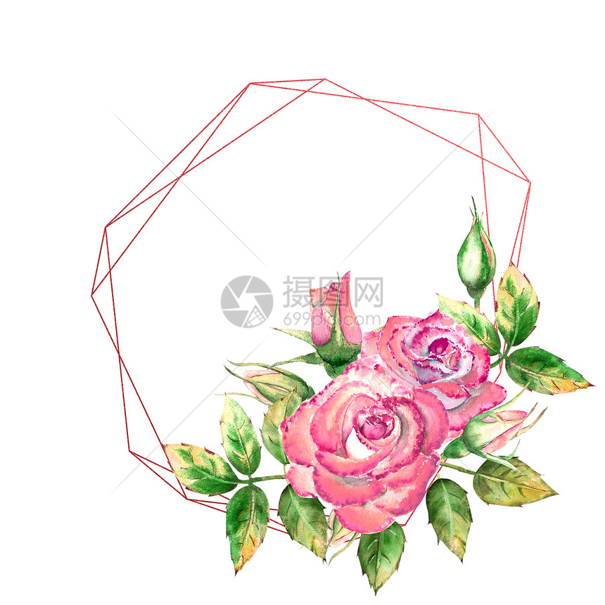 几何框架饰有花朵粉红玫瑰绿叶开合花精美水彩插图粉红玫瑰开合花精致水彩插图节省芽装饰品图片