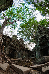塔普伦下面的树和寺庙塔普伦吴哥窟下面的树和寺庙宗教亚洲人考古学图片