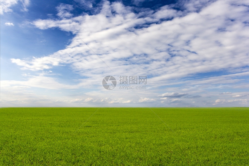 外部绿草和蓝天空地背景的草和蓝天空场地自然图片
