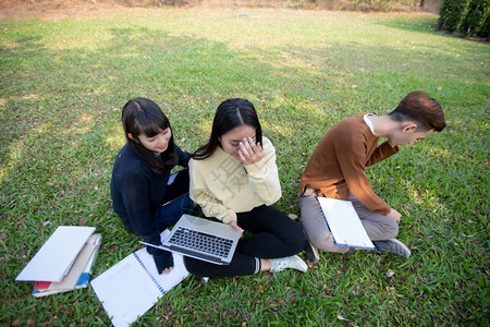 大学生们一起坐在草地上学习图片