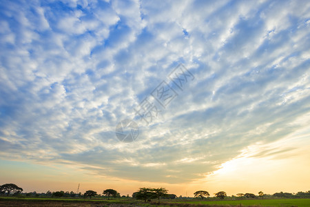 云景蓝色天空背纹理白云日落金的空气图片
