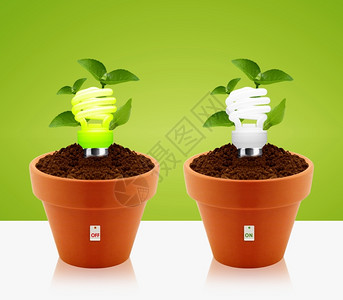 现代节能概念亮灯泡花园锅和绿叶生态效率灵感图片