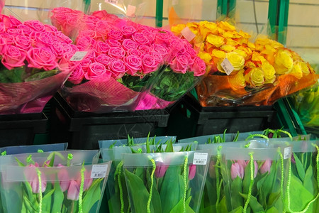 荷兰销售多彩的郁金香和玫瑰阿姆斯特丹旅行柜台图片
