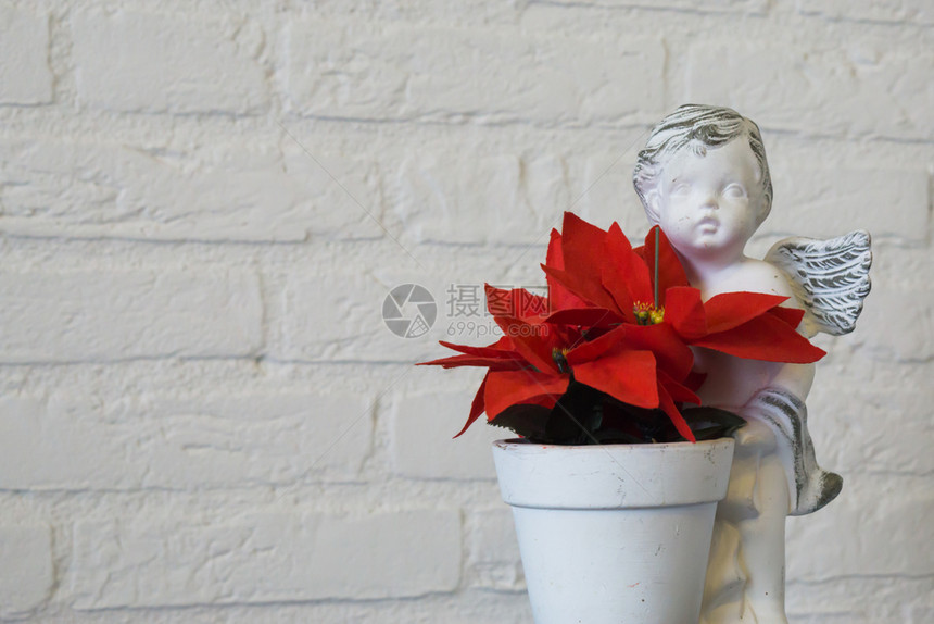 花朵人造的一红色圣诞星花在盆中紧闭天使雕塑被隔离在白砖墙背景上商业的图片