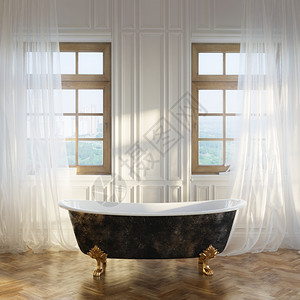 现代室内务2d版本的豪华雷特罗浴缸陶瓷制品内阁房间图片
