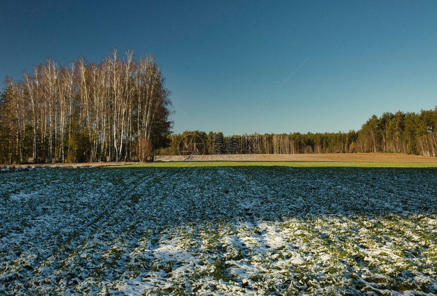 天空美丽的风景绿地和耕种的田洒满精美新鲜的雪蓝天下着清春初时白云波兰在下面土壤图片