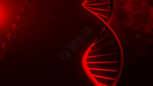 墙纸在抽象的红色背景3d插图上的脱氧核糖酸结构细胞疾病图片