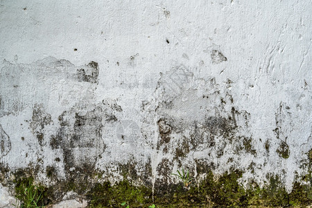 建造绿色黑的抽象古老肮脏深灰泥水墙壁纹理复制空间背景图片