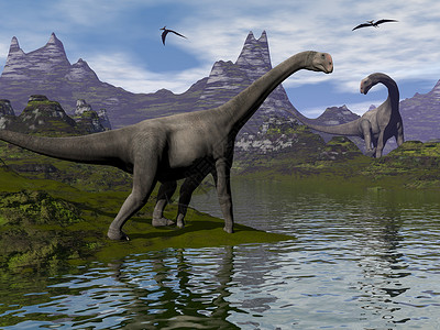 梅在枝头原始布朗托马鲁斯恐龙白天在地貌中行走3D化身布朗托梅罗斯恐龙3D化身蜥蜴经过设计图片