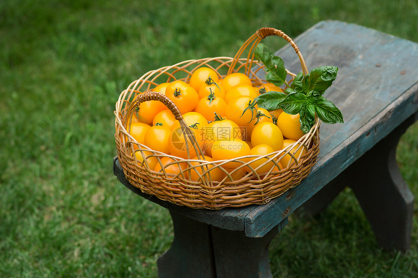 一组成熟的红樱桃和黄西红柿放在草地上的柳篮子中一组成熟的红樱桃和黄西红茄水果柳条筐饮食图片