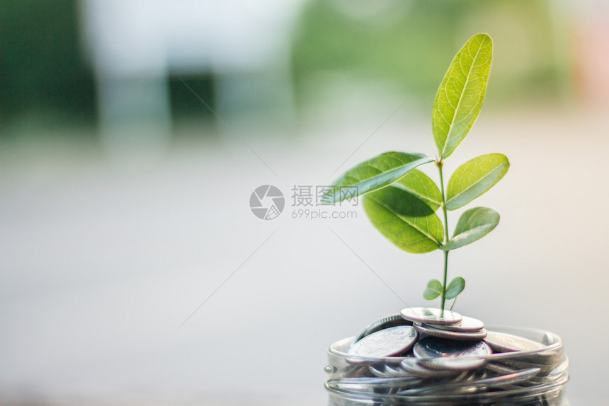 硬币筹资和节省金概念与种植树的商业企合作叶子投资图片